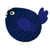 A tumblr and navy chicken with a lace pattern