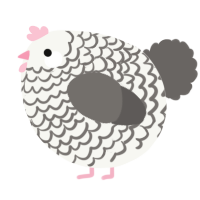 A white and grey chicken with a lace pattern