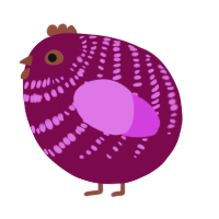 A wine and orchid chicken with a bar pattern