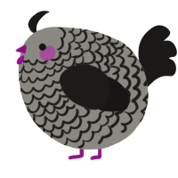 A ash and sable chicken with a lace pattern