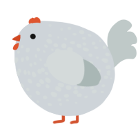 A mist and silver chicken with a speckle pattern