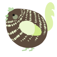 A bark and apple chicken with a bar pattern