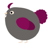 A grey and wine chicken