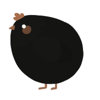 A black chicken with a head pattern