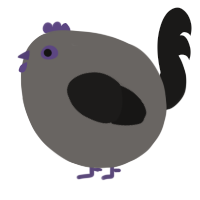 A grey and sable chicken