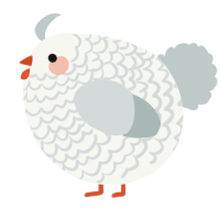 A white and silver chicken with a lace pattern
