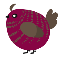 A maroon and bark chicken with a bar pattern
