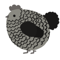 A ash and sable chicken with a lace pattern