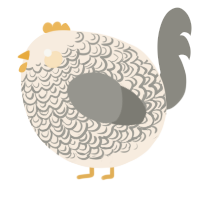 A cream and ash chicken with a double-lace pattern