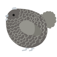 A grey and ash chicken with a lace pattern