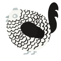 A white and sable chicken with a lace pattern
