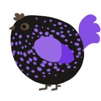 A sable and blurple chicken with a speckle pattern
