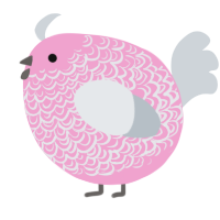 A pink and mist chicken with a double-lace pattern