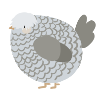 A mist and ash chicken with a lace pattern