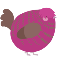 A amethyst and overcast chicken with a bar pattern