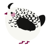 A white and black chicken with a half-lace pattern