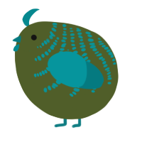 A olive and teal chicken with a half-bar pattern