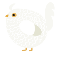 A white chicken with a lace pattern