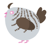 A mist and bark chicken with a half-bar pattern