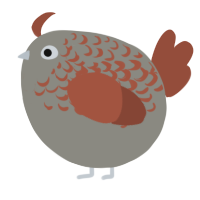 A ash and russet chicken with a half-lace pattern