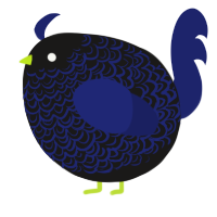 A sable and navy chicken with a double-lace pattern