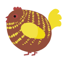 A russet and yellow chicken with a bar pattern
