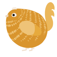 A orange and honey chicken with a bar pattern