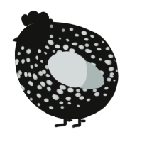 A black and silver chicken with a speckle pattern