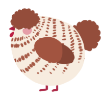 A cream and russet chicken with a bar pattern