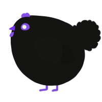 A black chicken