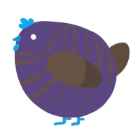 A overcast and bark chicken with a bar pattern