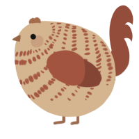 A beige and russet chicken with a bar pattern