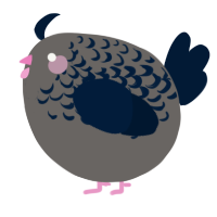 A grey and tumblr chicken with a half-lace pattern