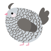 A mist and grey chicken with a lace pattern