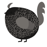 A sable and grey chicken with a double-lace pattern