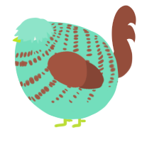 A mint and russet chicken with a bar pattern
