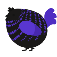 A sable and indigo chicken with a bar pattern