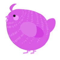 A orchid chicken with a bar pattern