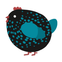 A sable and sea chicken with a speckle pattern