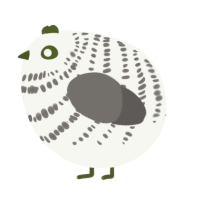 A white and grey chicken with a bar pattern