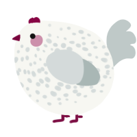 A white and silver chicken with a speckle pattern
