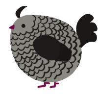 A ash and sable chicken with a lace pattern