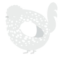 A silver chicken with a speckle pattern
