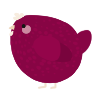 A maroon chicken with a speckle pattern