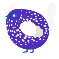 A indigo and white chicken with a speckle pattern