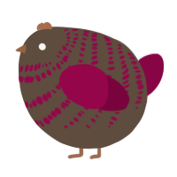 A bark and maroon chicken with a bar pattern