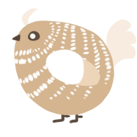 A beige and cream chicken with a bar pattern