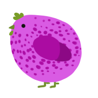 A orchid and plum chicken with a speckle pattern