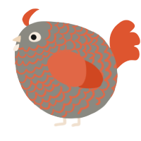 A ash and vermilion chicken with a lace pattern