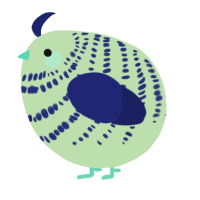 A gluppy and navy chicken with a bar pattern